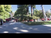 Capitol tree lighting ceremony tonight