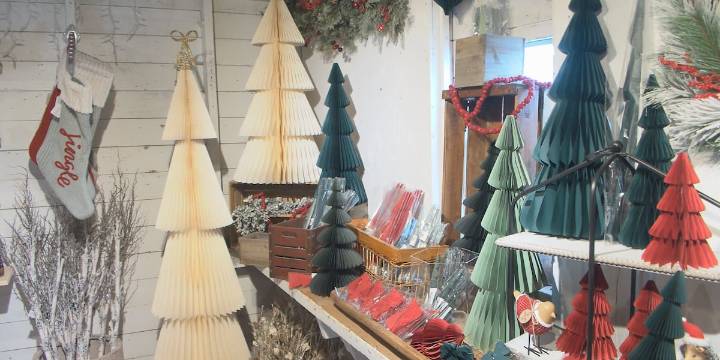 Barn Festival Christmas market wraps up in Hastings