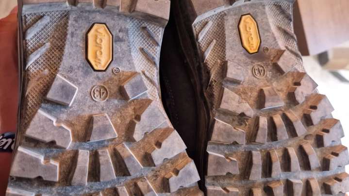 Aragón refuerza la campaña de prevención de la peste porcina con recomendaciones para montañeros y ciclistas