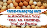 ‘Cancer-Causing’ Egg Alarm: Authorities Say ‘Yes’ to Testing, ‘No’ to Panic