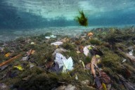 Florida state parks face $759 million backlog of needed repairs, state report finds