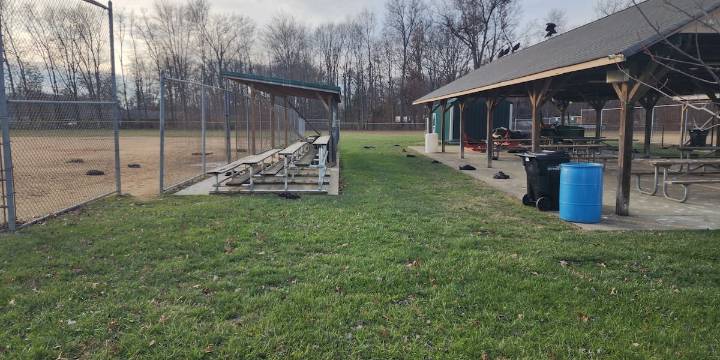 Dozens of dead vultures found in Ohio died of bird flu: Preliminary report