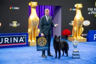 Exclusive | National Dog Show champ Soleil shocked handler in drive to win: 'It's like she can feel the crowd'