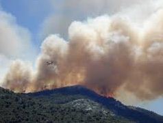 Informe global alerta sobre el creciente daño ambiental que amenaza agua, alimentos y biodiversidad