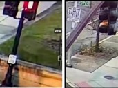 Confirmado: hay un detenido por el tiroteo mortal en la Universidad de Brown en Estados Unidos