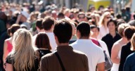 Scotland’s population reaches new high of 5.55 million