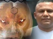 Oficio extremo: Esta es la historia del rehabilitador de perros agresivos