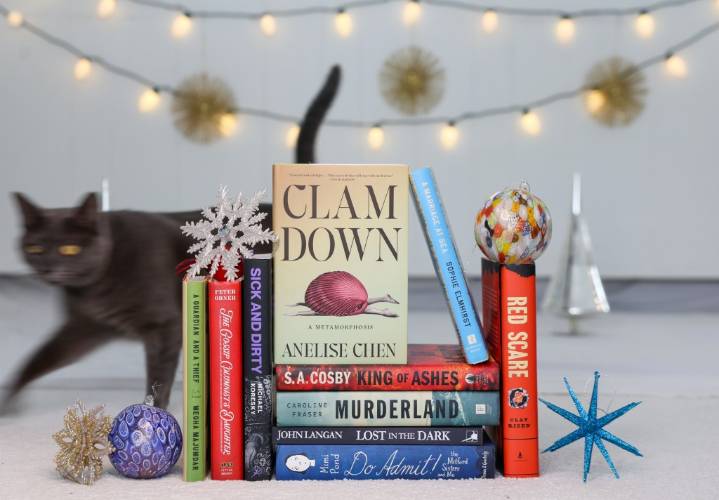 The 10 best books of 2025: Censorship, crime and compassion