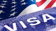 US revokes 85K visas, cites public