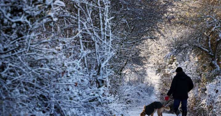 Met Office forecasts snow for Christmas week as temperatures set to plummet