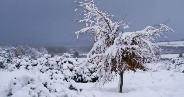 UK faces three inch snow bomb but 29 counties in England will be spared
