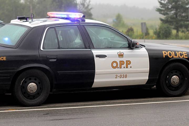 OPP identifies human remains of missing Kenora resident