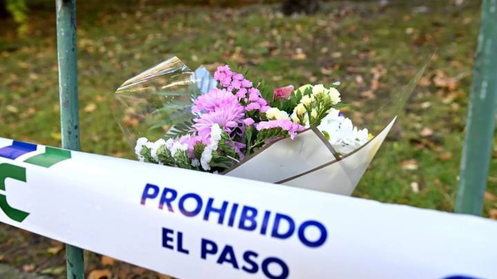 Adolescentes muertas en Jaén: "Quieren montar el suicidio perfecto, cuando es el homicidio perfecto"