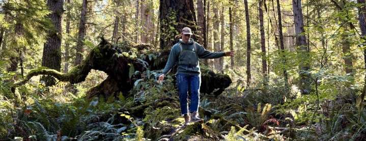 Trump’s Changes to What Harms Species Adds Risk in Logging Areas