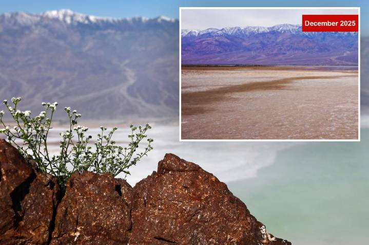 Death Valley's ancient Lake Manly reappears after record rainfall