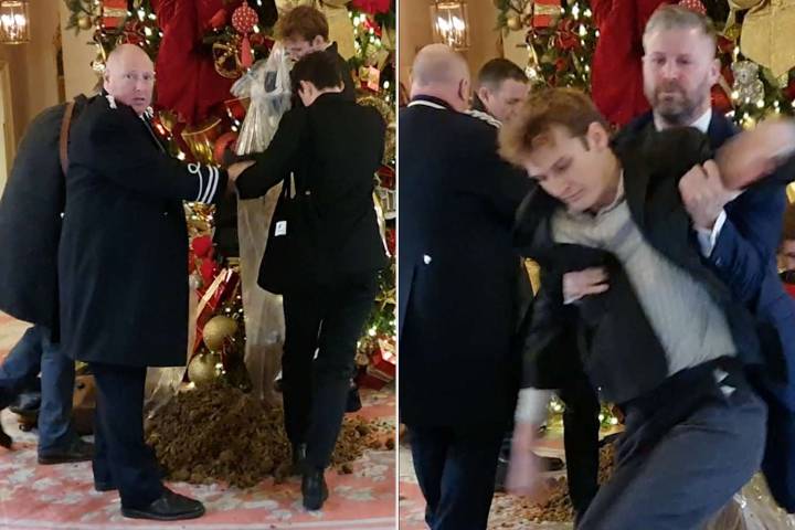 Protestors Pour Piles of Horse Manure on Ritz London Hotel Christmas Tree in Viral Video