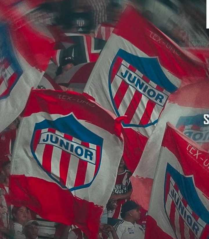 ¿Que necesita el Junior para clasificar a la final?