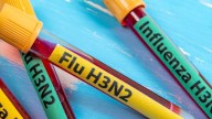 Gripe H3N2 variante K: mutación letal que provocaría otra pandemia