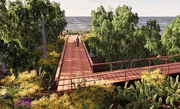 Un pulmón secreto en Avellaneda: así es el bosque escondido