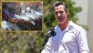 Gavin Newsom Assures Californians Wildfires Are 'Mostly Peaceful'