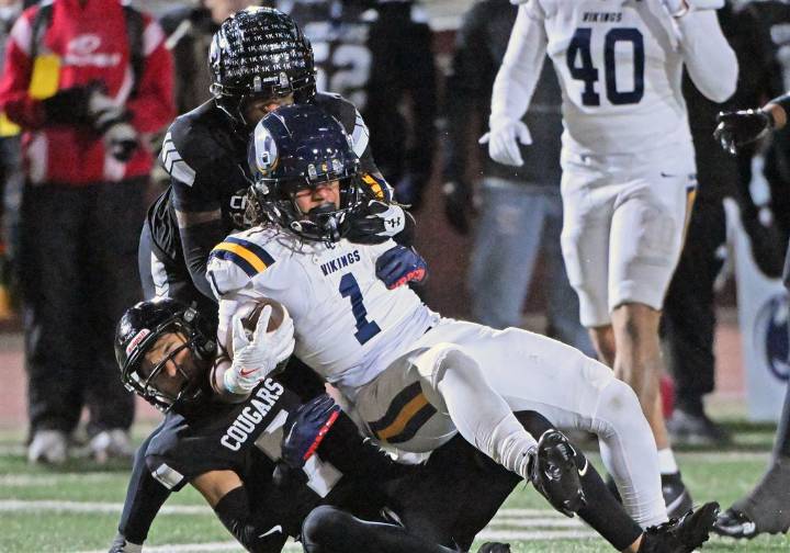 Johnson's three TDs prove too much to overcome as Central Catholic loses to La Salle College High School in PIAA Class 6A final