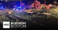 Strong winds cause tree to fall onto car in Framingham, seriously injuring man inside