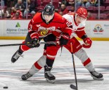 Soo Greyhounds down Owen Sound 6-4 | Exeter Lakeshore Times Advance