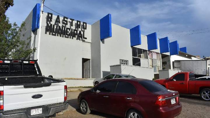 Aumenta 33% la matanza de porcinos en el Rastro Municipal por temporada decembrina