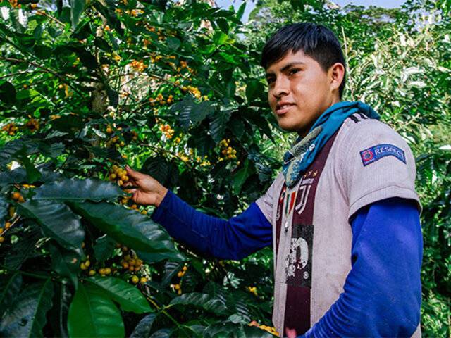 MIDAGRI y socios estratégicos se unen a la implementación del seguro agrícola “Café Seguro Perú”