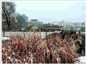 Wet snow expected to create hazardous driving conditions