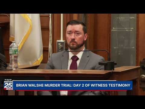 WATCH LIVE: Day 2 of witness testimony in Brian Walshe murder trial.