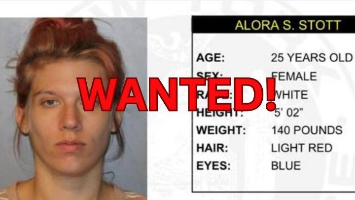 New York Woman Wanted In 2 Counties, Have You Seen Her?