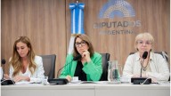 Fentanilo contaminado: presentaron el informe final de Diputados con 20 recomendaciones