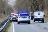 Woman Dies After Tree Falls Onto Moving Car, Driver Seriously Injured