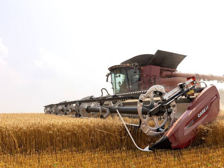 Researchers make nitrogen-fixing wheat | Kingston/Frontenac This Week