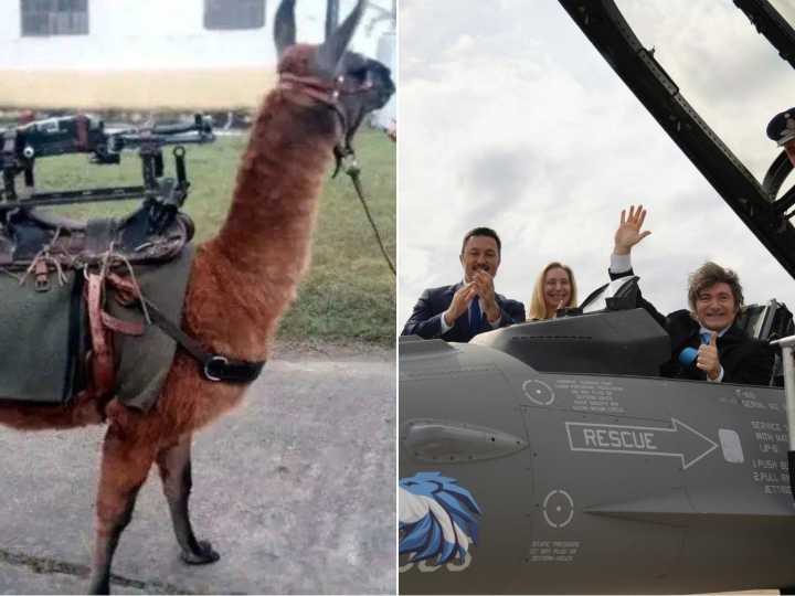 Santilli celebró la llegada de los F-16 con un irónico mensaje contra el kirchnerismo: "Pasamos de incorporar llamas metralletas a aviones de combate"