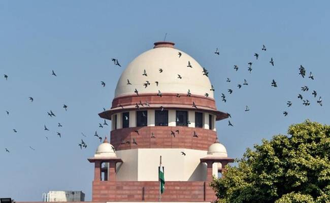 SC seeks ED's response on journalist's bail plea in money launder...