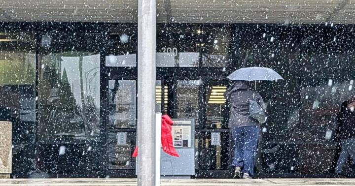 Snow falling in Greensboro