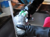 Reforma laboral de Milei y empleadas domésticas: qué cambia en el período de prueba, la jornada de trabajo y los recibos de sueldo