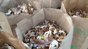 Rock River Disposal warns of yard waste delays in Rockford