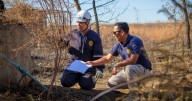 PDI Ñuble suma equipo de «fuerza de tarea» para investigar incendios forestales