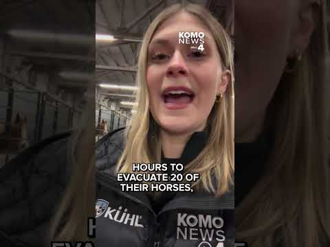 Snohomish County evacuates hundreds of animals as river flooding threatens local farms