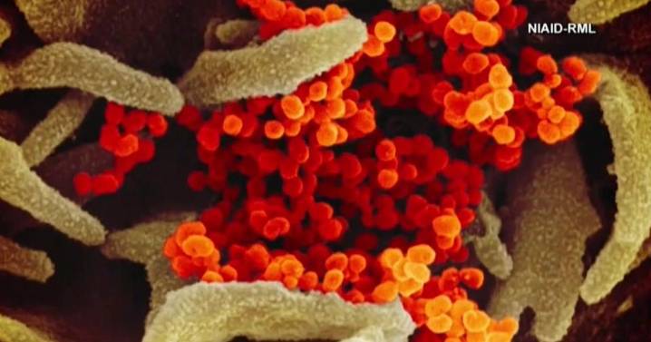 Washington Poison Center warns public of risks during flood recovery efforts