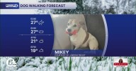 Frigid Thursday Dog Walking Forecast: Temps drop all day!