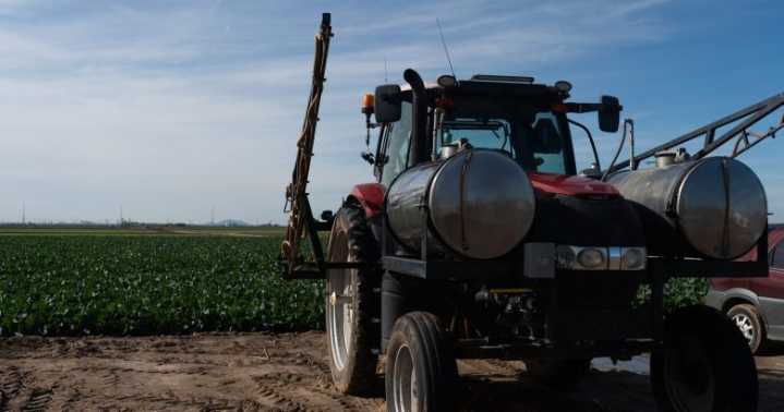 Yuma farmers weigh in on pesticide use