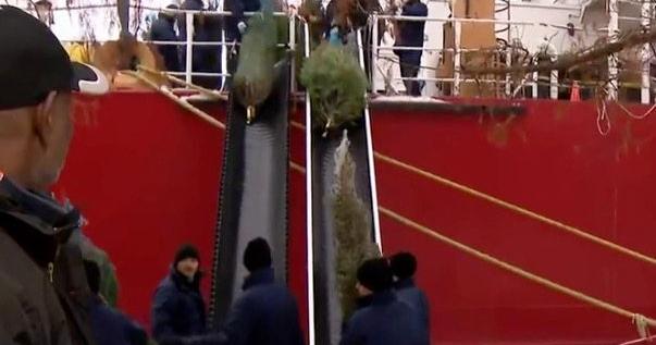 Annual Christmas Tree Ship with 1,200 trees arrives at Navy Pier on Saturday
