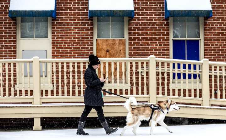 Pa. laws and common-sense tips can keep pets safe in the cold