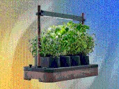 It's Not too Late! The Auk Herb Planter Is Still on Sale
