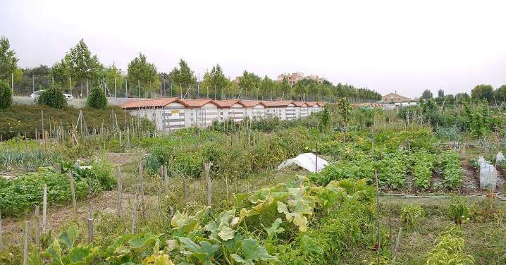 Se abre el plazo de solicitud para hacerse con un huerto urbano en Carbajosa de la Sagrada