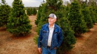Last Christmas: Booming East Texas Christmas tree farm closes after 40 years